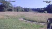 Český Šumburk - 25. 06. 2026, 08:00