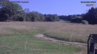 Český Šumburk - 25. 06. 2026, 08:40