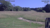 Český Šumburk - 25. 06. 2026, 09:20