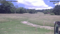 Český Šumburk - 25. 06. 2026, 12:50
