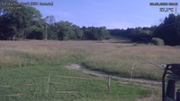 Český Šumburk - 28. 06. 2026, 08:10