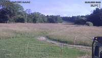 Český Šumburk - 28. 06. 2026, 08:20