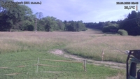 Český Šumburk - 28. 06. 2026, 08:40