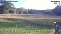 Český Šumburk - 08. 07. 2026, 07:00
