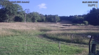 Český Šumburk - 08. 07. 2026, 07:20