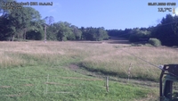 Český Šumburk - 08. 07. 2026, 07:50