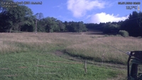 Český Šumburk - 08. 07. 2026, 08:00