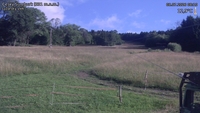 Český Šumburk - 08. 07. 2026, 08:10