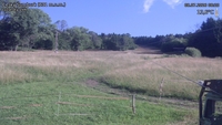 Český Šumburk - 08. 07. 2026, 08:20