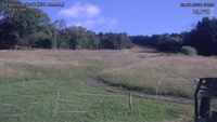 Český Šumburk - 08. 07. 2026, 08:30