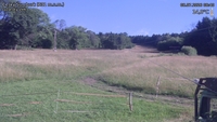 Český Šumburk - 08. 07. 2026, 08:40