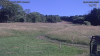 Český Šumburk - 08. 07. 2026, 08:50