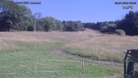 Český Šumburk - 08. 07. 2026, 09:20