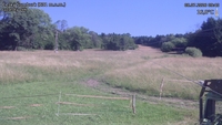 Český Šumburk - 08. 07. 2026, 09:40