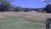 Český Šumburk - 08. 07. 2026, 10:50
