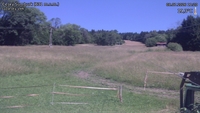 Český Šumburk - 08. 07. 2026, 11:20