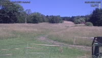 Český Šumburk - 08. 07. 2026, 11:30