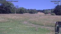 Český Šumburk - 08. 07. 2026, 12:00