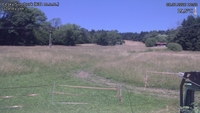 Český Šumburk - 08. 07. 2026, 12:50
