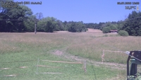 Český Šumburk - 08. 07. 2026, 13:00