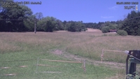 Český Šumburk - 08. 07. 2026, 13:10