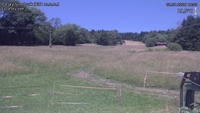 Český Šumburk - 08. 07. 2026, 13:20