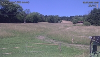 Český Šumburk - 08. 07. 2026, 13:40