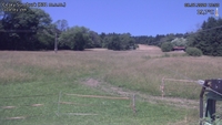Český Šumburk - 08. 07. 2026, 13:50