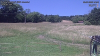 Český Šumburk - 08. 07. 2026, 14:10