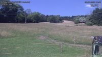 Český Šumburk - 08. 07. 2026, 14:40