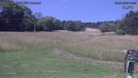 Český Šumburk - 08. 07. 2026, 14:50