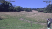 Český Šumburk - 08. 07. 2026, 15:20