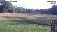 Český Šumburk - 09. 07. 2026, 07:10