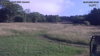 Český Šumburk - 09. 07. 2026, 07:40