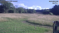 Český Šumburk - 09. 07. 2026, 07:50