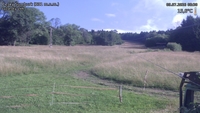 Český Šumburk - 09. 07. 2026, 08:30