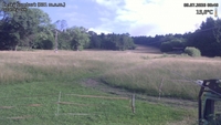 Český Šumburk - 09. 07. 2026, 08:40