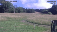 Český Šumburk - 09. 07. 2026, 09:10