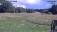 Český Šumburk - 09. 07. 2026, 09:50