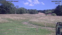 Český Šumburk - 09. 07. 2026, 11:00