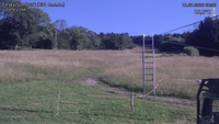Český Šumburk - 11. 07. 2026, 08:30
